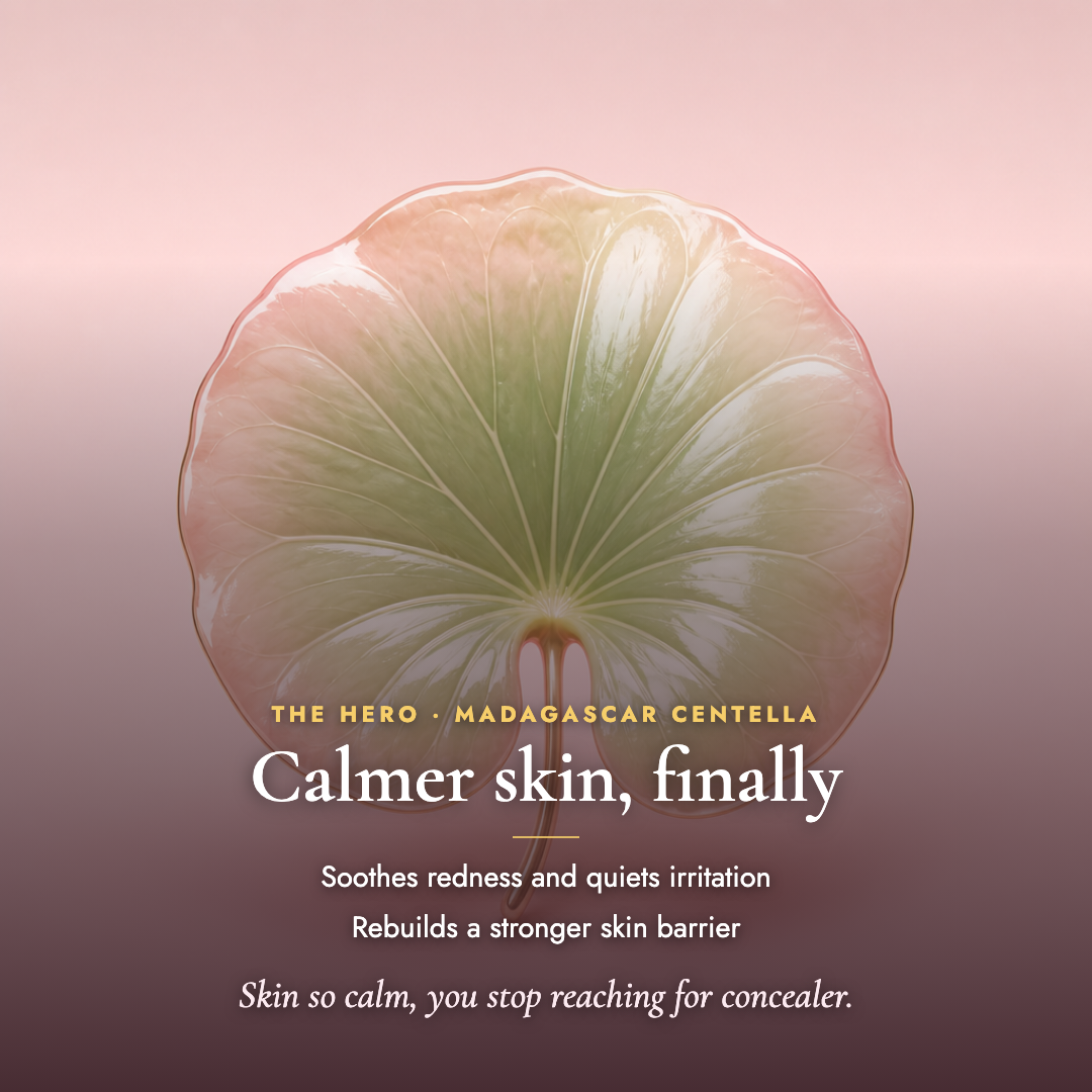 The Pink Routine image 5